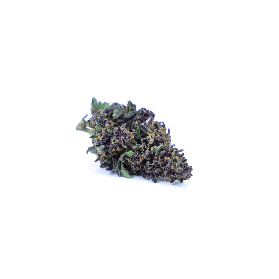 Purple Kush